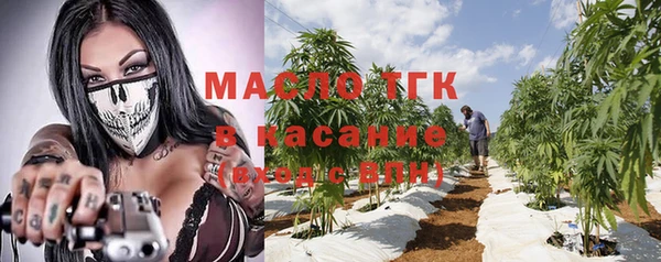 крисы Алзамай