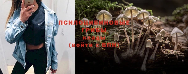 гидра Алексин