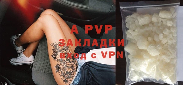 крисы Алзамай